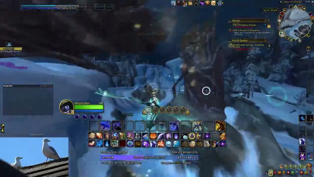 WoW DF:- Dragon Racing - Frostland Flyover (Gold Attempt)