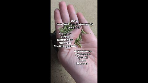 A mini guide on Rosemary, the blood flow increaser