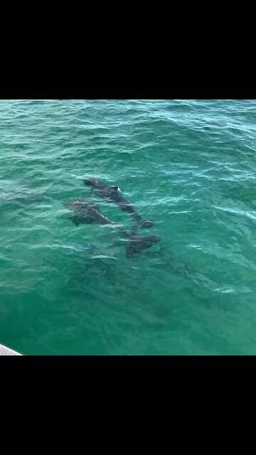 GoPro Hero 8: Key West