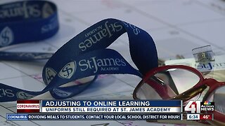 Adjusting to online learning