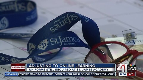 Adjusting to online learning