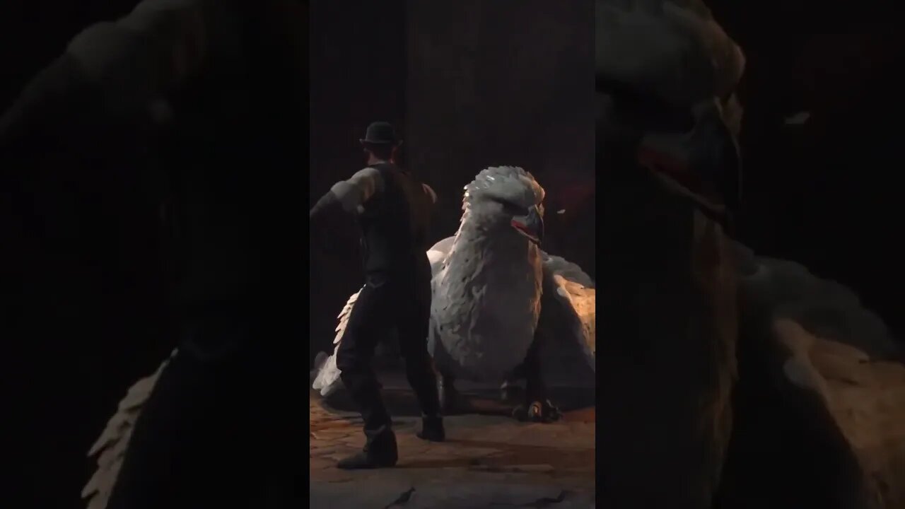 They shouldn't have done that!