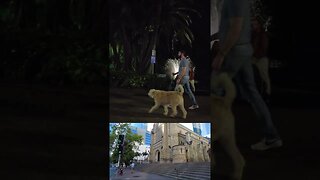 Brisbane City Exploration || QLD - AUSTRALIA