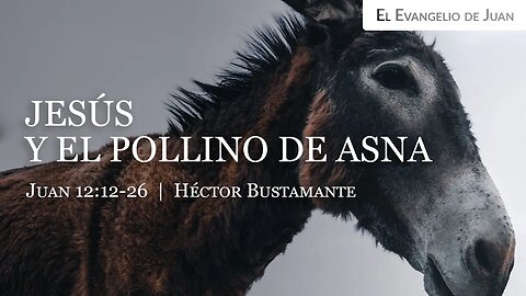 Jesús y el pollino de asna (Juan 12:12-26) - Héctor Bustamante