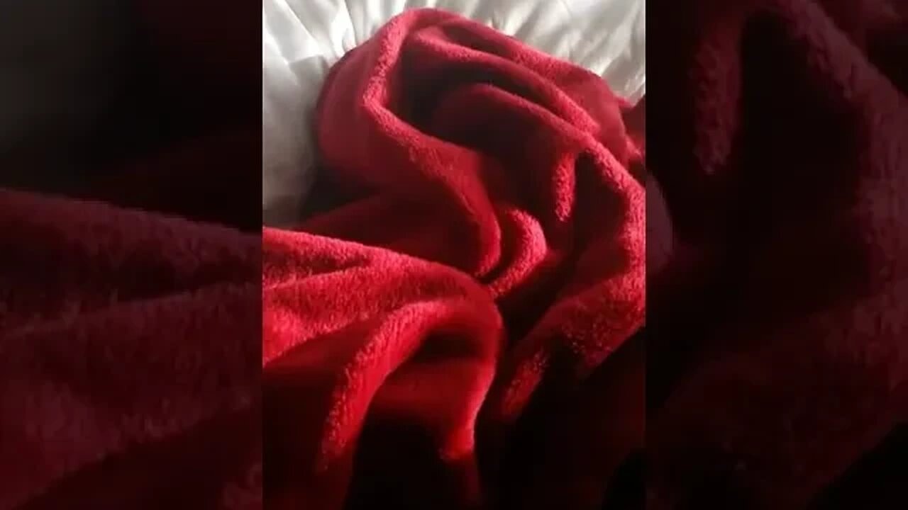 Tasha Hides under a Blanket Part 2