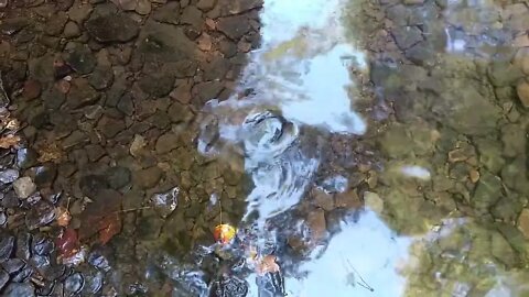 Ripples2