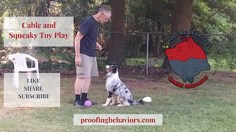 Cable and Squeaky toy play full cut
