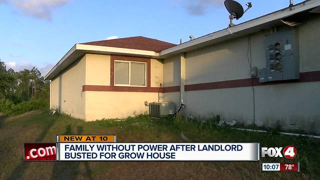 Marijuana plants, guns found in home