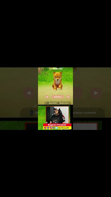 ⭐️ SHORTS ! A difícil tarefa de escolher um cachorrinho de estimação em EVERDREAM VALLEY! #shorts