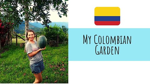 My Colombian Garden || Rain Season