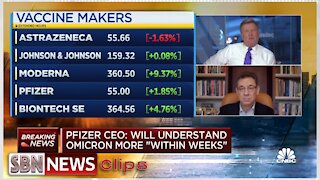 Pfizer CEO Declares “Annual Revaccination” for COVID is Coming - 5313