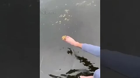 У кого нога? Это нога у того, у кого надо нога.