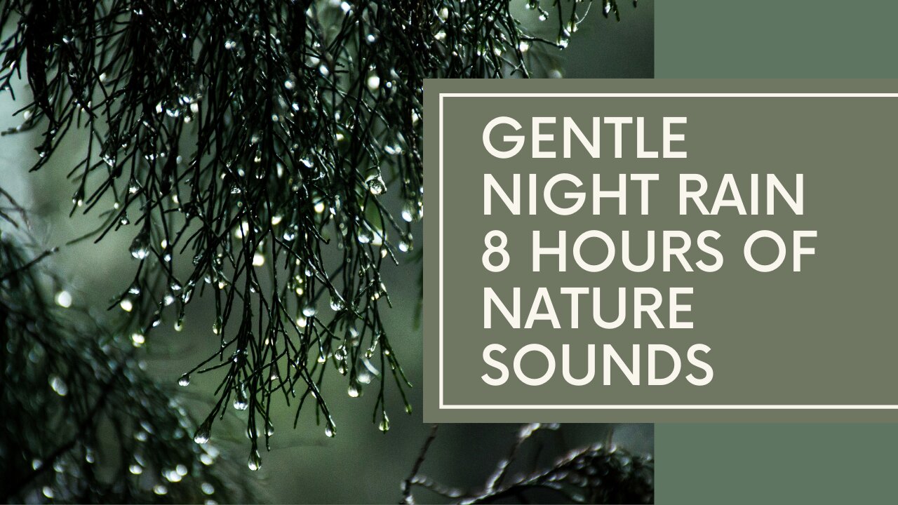 GENTLE NIGHT RAIN 8 HRS OF RAIN SOUNDS TO RELAX & SLEEP No Music