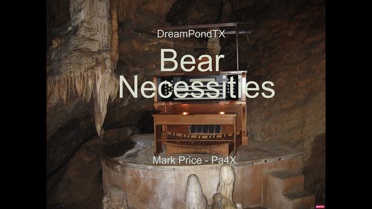 DreamPondTX/Mark Price - Bear Necessities (Pa4X at the Pond, PA)