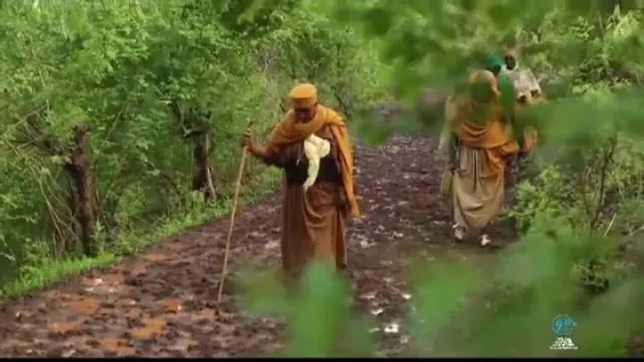 የበገና ዝማሬ Begena mezmur #ዘግዮን #shortsvideo #youtube