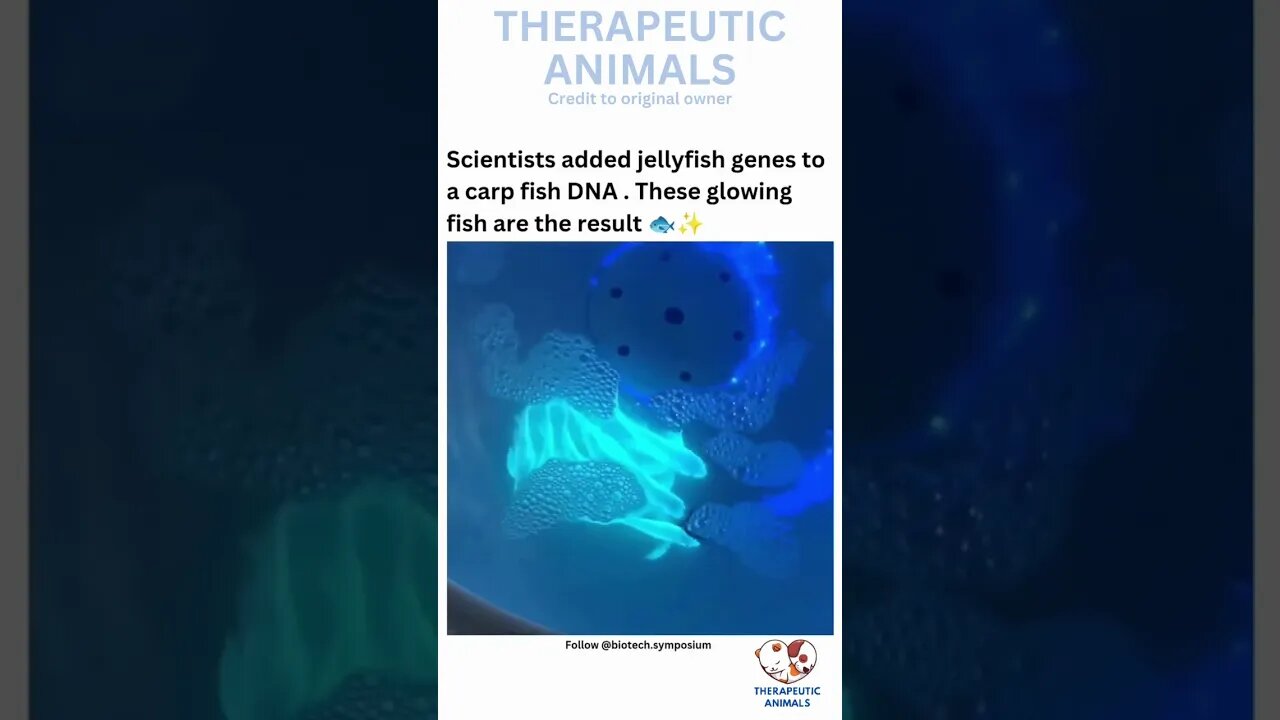 Scientists Create GLOW Fish