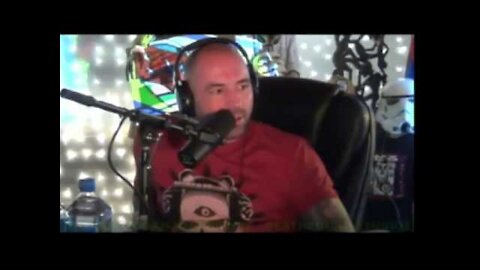 Joe Rogan Experience #276 - David Seaman, Abby Martin, Dell Cameron`