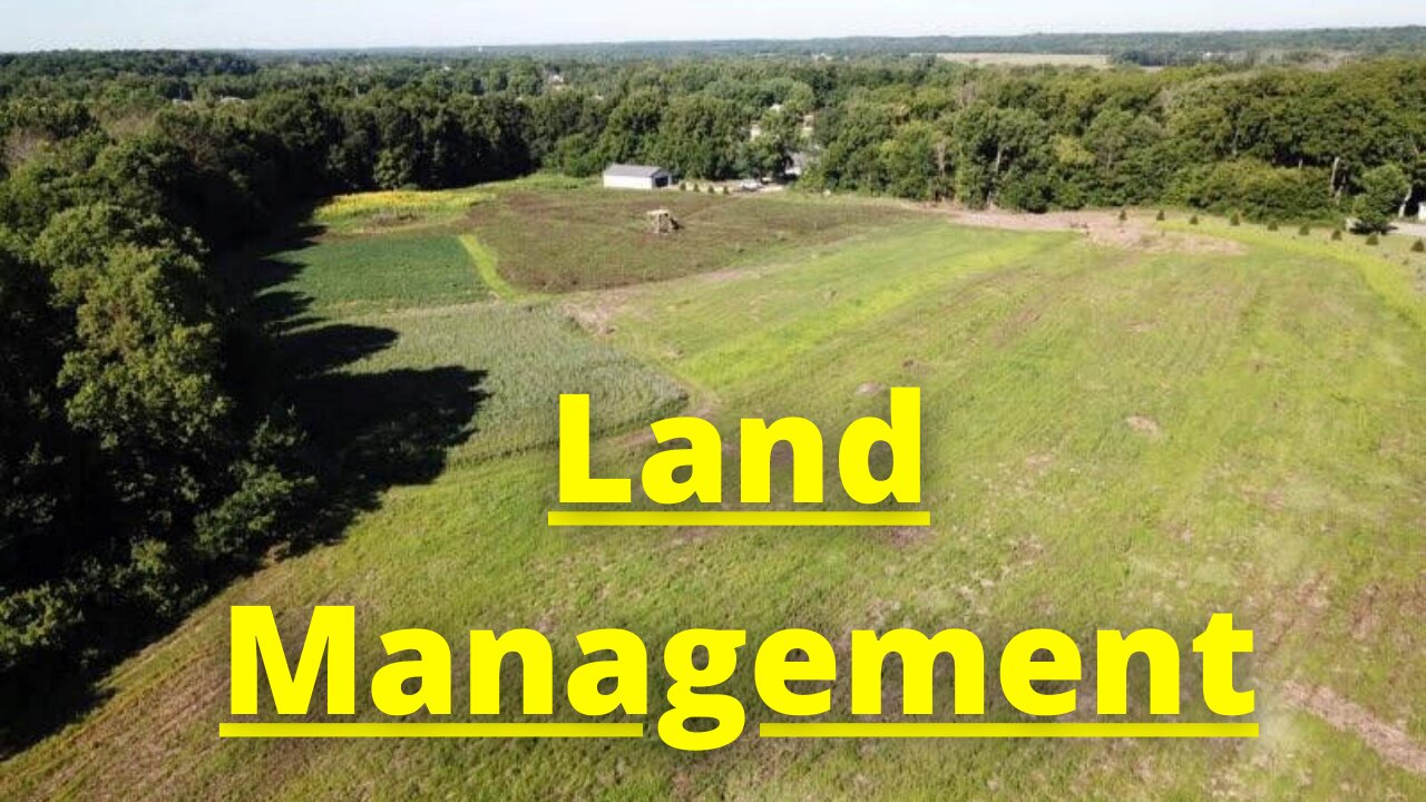 MLO talks land management!