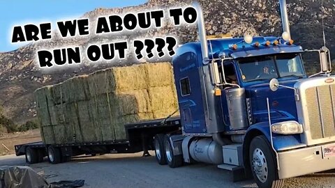 CALIFORNIA About To Have A Hay SHORTAGE ?? BAD NEWS For Livestock Owners, Time TO GET BUSY Part 1