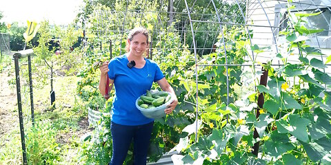 2024 Summer Garden Update - The Harvest Has Begun