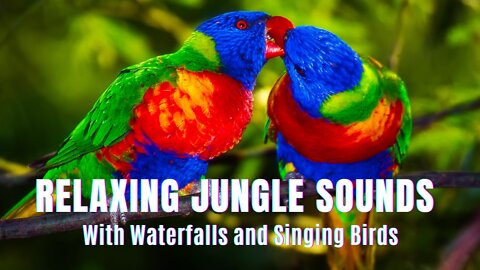 Relaxing Jungle Sounds 🌿 with Waterfall 🦜Beautiful Birds Chirping in the Rainforest, Forest Sounds