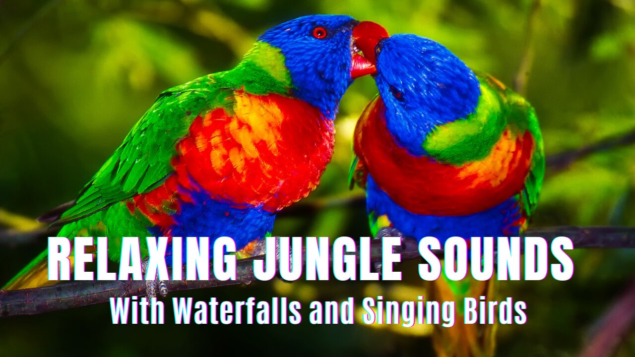 Relaxing Jungle Sounds 🌿 with Waterfall 🦜Beautiful Birds Chirping in the Rainforest, Forest Sounds
