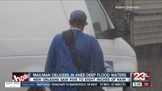 Mailman treads through knee deep water to deliver mail