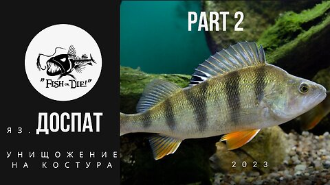 Part 2 Яз. Доспат 2023 унищожение на Костури - Dospat lake destroying the perch