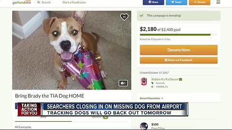Searchers closing in on missing dog from airport