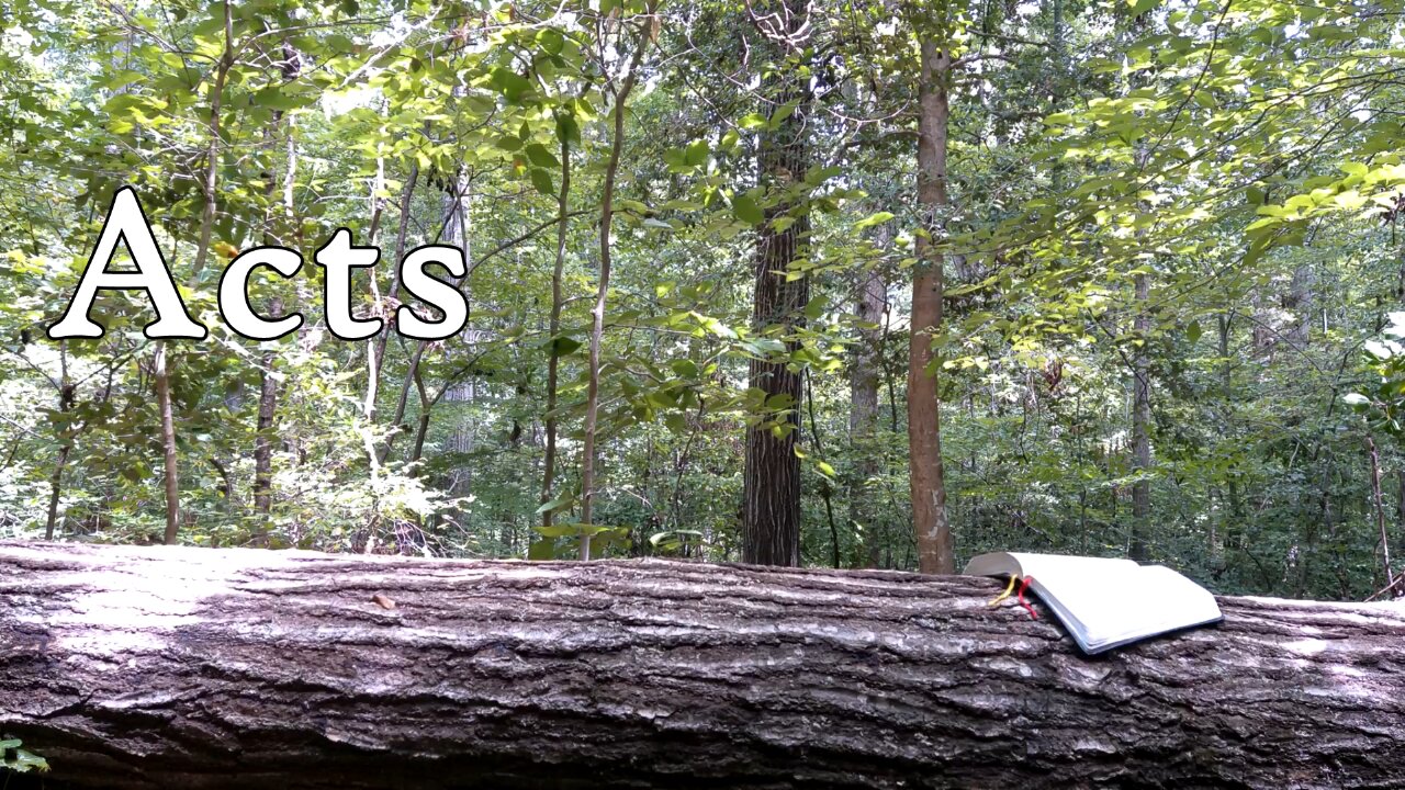 Acts | The Holy Bible | New Testament 5/27