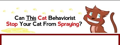 How can I get my cat to stop spraying? | cat behavior solution |
