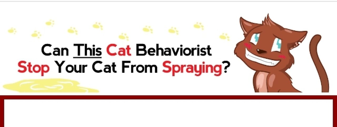 How can I get my cat to stop spraying? | cat behavior solution |