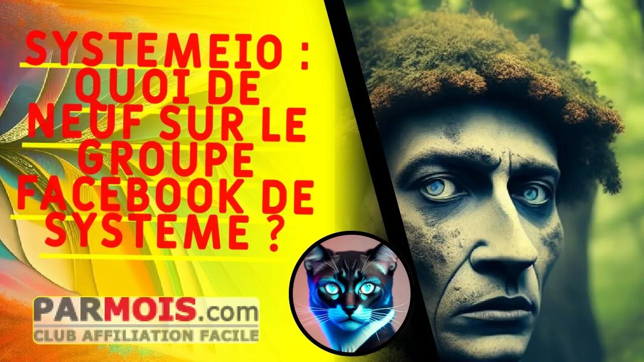 SystemeIO : quoi de neuf sur le groupe Facebook de Systeme ?