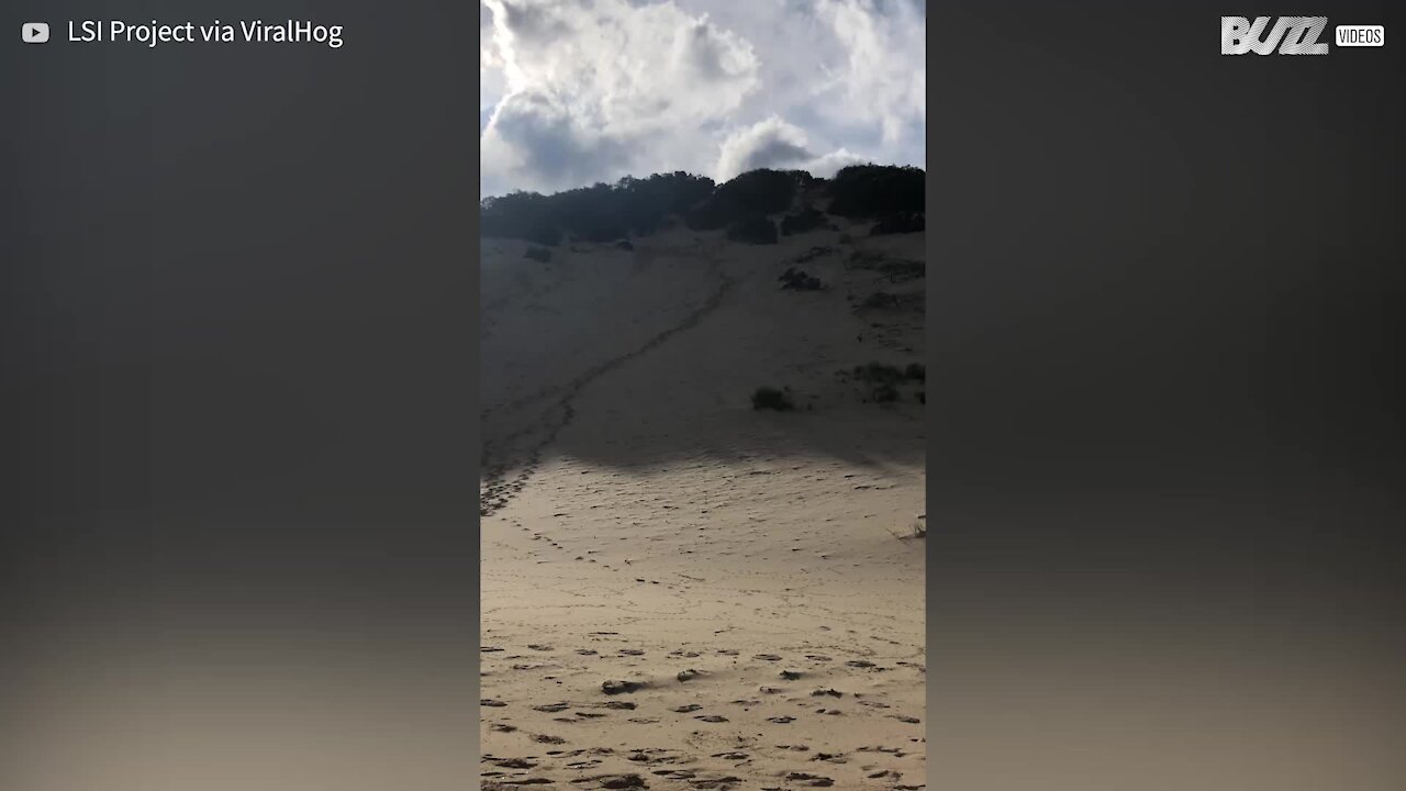 Guy makes flying leap off sandboard into sea after sliding down dune