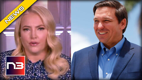 Democrats Should Listen to Meghan McCain’s Advice on Ron DeSantis Attack