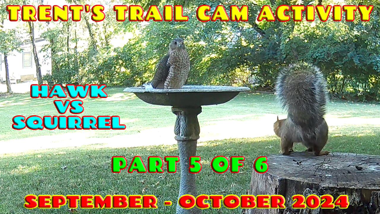 Trent's Trail Cam Activity - September Thru October 2024 - Part 5 of 6