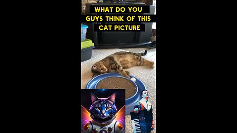 Cute Cat Gif
