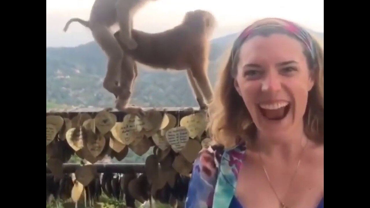 Top 100 Funny Viral Videos Should Watch That Relieve Stress