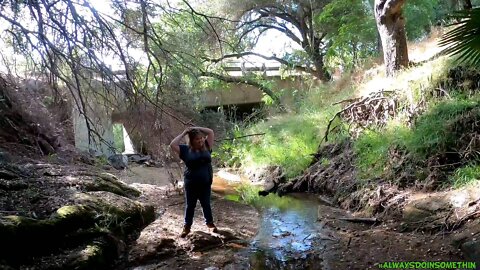 Exploring creek near house, you won't want to miss this
