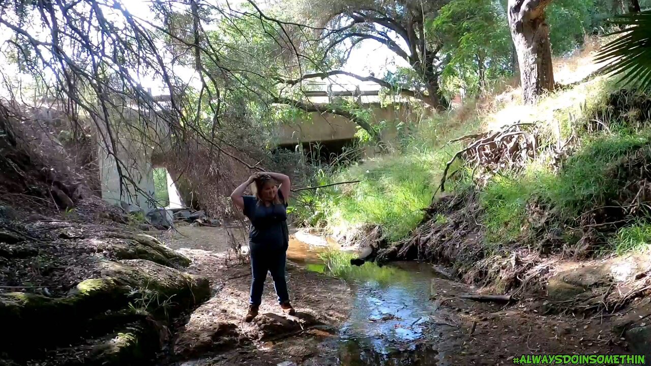 Exploring creek near house, you won't want to miss this