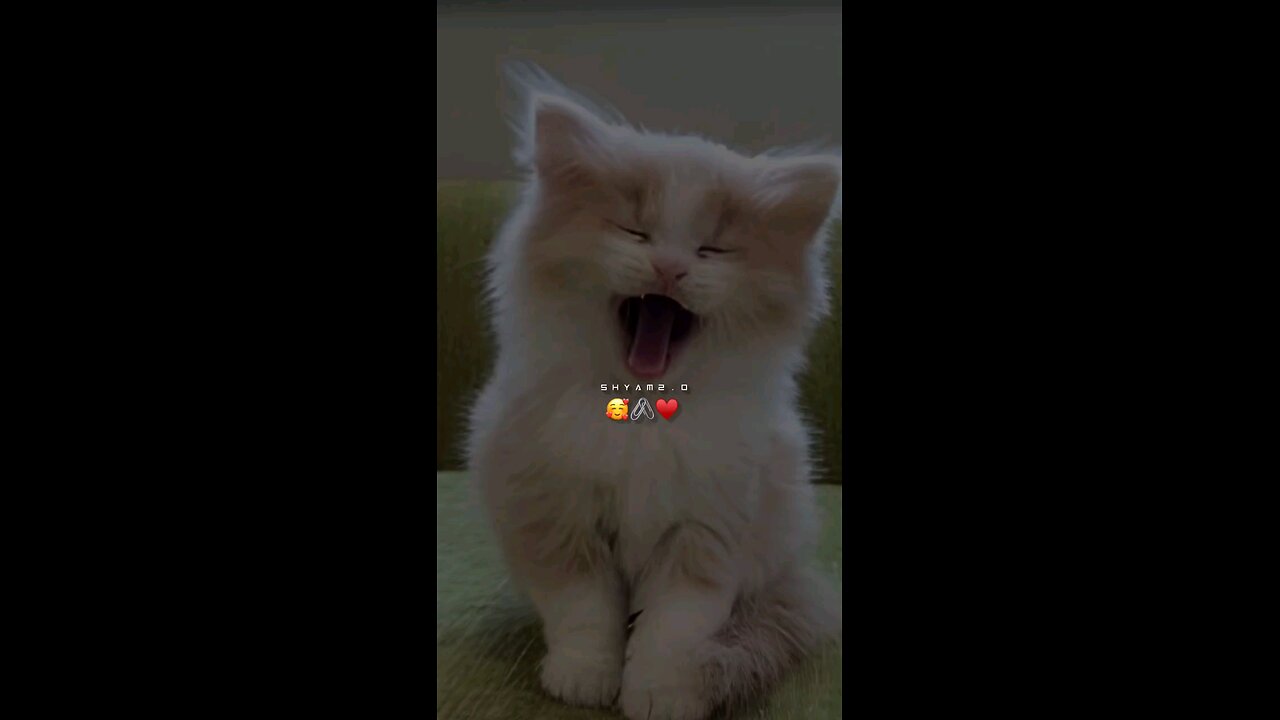 funny
