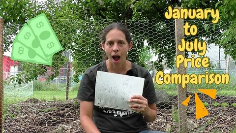 Price Comparison Challenge - January to July Update