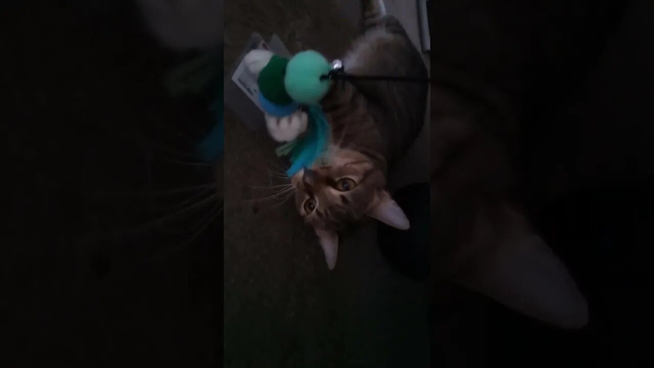 she almost broke her new toy