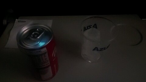 On board service Azul Flight 4445