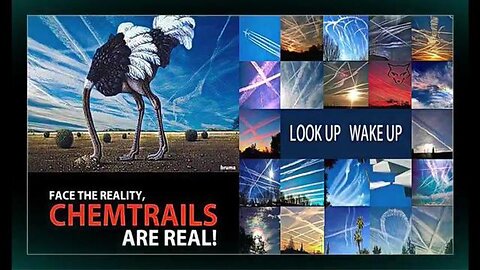 PR0JECT CL0VERLEAF: THE P0IS0NING OF HUMAN1TY