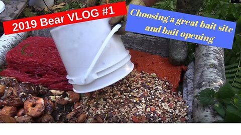 2019 Bear Hunting VLOG #1