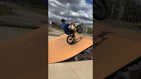Skatepark Tricks #skatepark #bmx