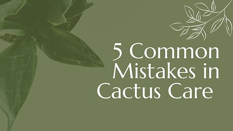 5 COMMON MISTAKES IN CACTUS CARE