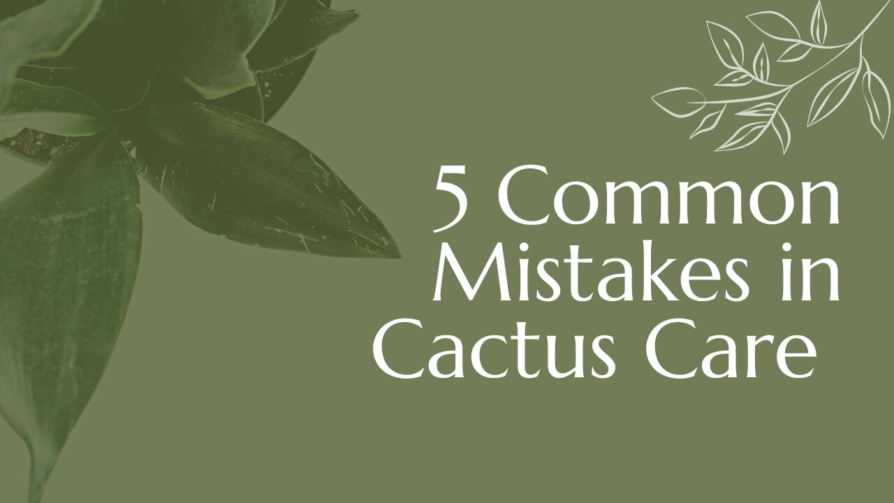 5 COMMON MISTAKES IN CACTUS CARE