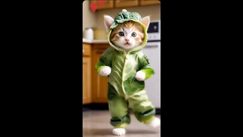 little cat dencing songs,sofanney